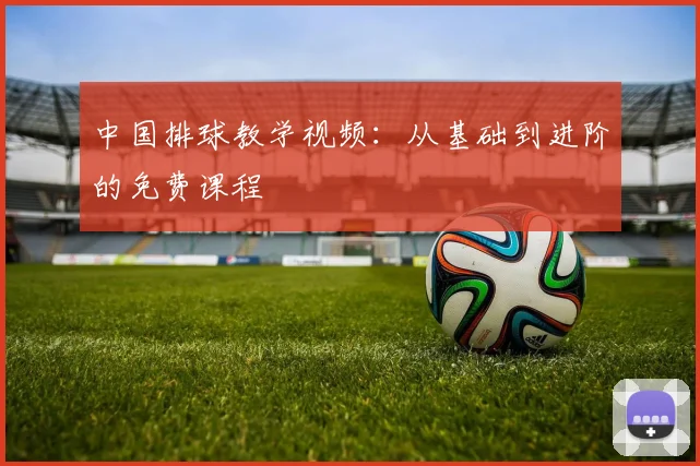 中国排球教学视频：从基础到进阶的免费课程